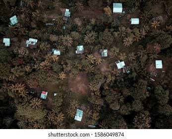 An Aerial Shot Of Small Buildings In The Middle Of Trees In Papua New Guinea Village