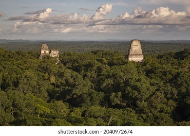 The Aerial Shot Of Tikal Guatemala