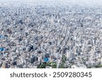 An aerial shot of the Tokyo skyline from the tallest tower in the world, the Tokyo Skytree, in downtown Tokyo, Japan