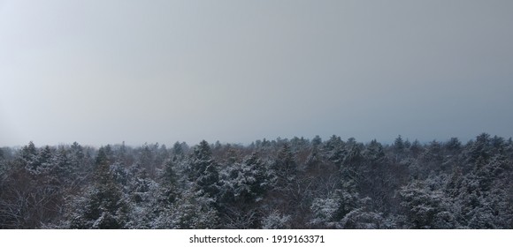 Aerial Shot Of The Woods Treeline In The Winter Forest