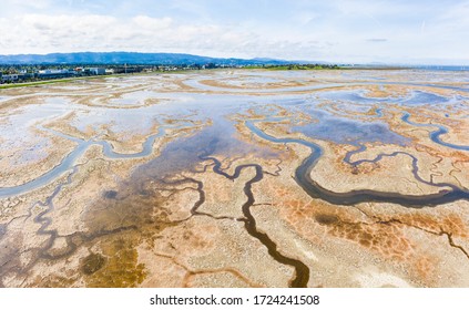 Aerial Of Strange Green Waterways In SF Bay Marshland