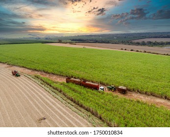 Aerial sugarcane field in Brazil. Tractor working, agribusiness - Pederneiras/São Paulo/Brasil - 06/04/2020