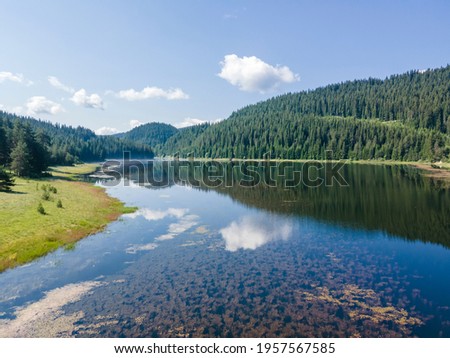 Image, Stock Photo Dam in the Black Forest