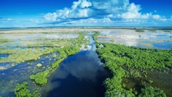 Vista Aerea Del Tramonto Della Palude Delle Everglades In Florida.