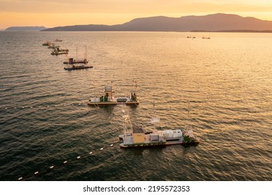 Aerial Sunset View Of Reefnet Salmon Fishing Boats Off Lummi Island, Washington. Wild Pacific Salmon Reefnet Fishing Is An Historical Pacific Northwest Fishing Method.