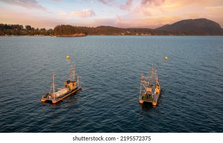 Aerial Sunset View Of Reefnet Salmon Fishing Boats Off Lummi Island, Washington. Wild Pacific Salmon Reefnet Fishing Is An Historical Pacific Northwest Fishing Method.