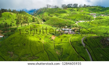 Aerial. Tea plantations near Haputale, Sri Lanka.