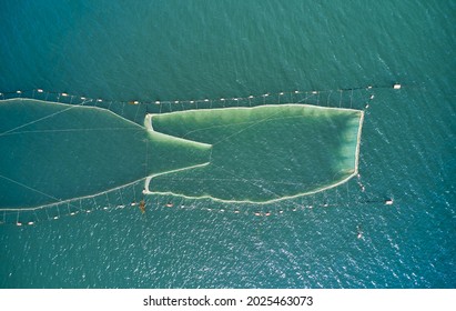 Aerial And Top Angle View Of Fishing Net On The Sea At Namhae-gun, South Korea  
