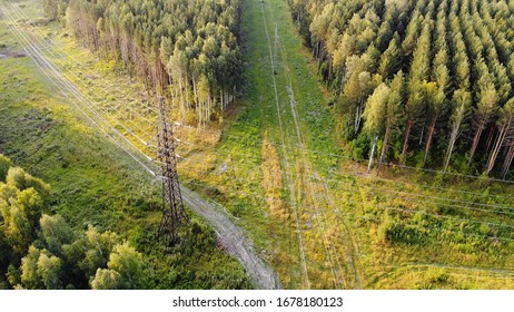 Aerial top down 4k view of the power lines located in the forest.