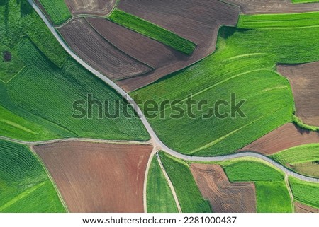 AERIAL TOP DOWN: Beautiful path surrounded with green meadows and farming fields. Picturesque agricultural landscape with lovely pattern of pastures and plowed fields. Rural countryside on a sunny day