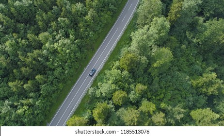 AERIAL, TOP DOWN: Dark Colored Car Driving Down An Asphalt Road Crossing The Vast Forest On A Sunny Summer Day. People On Relaxing Drive Through The Idyllic Woods In Picturesque Slovenian Countryside.