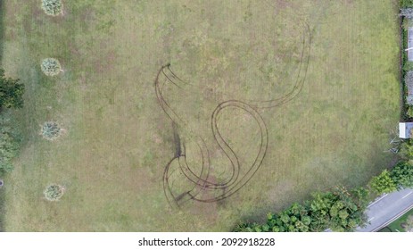 aerial, top down drone shot over a green field with trees in a park on a cloudy morning in Coral Springs, Florida. - Powered by Shutterstock