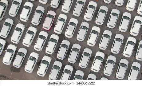 AERIAL, TOP DOWN: Flying Over Cars Wrapped In White Paper Parked In A Car Dealership Parking Lot. Countless Brand New Cars In Large Parking Lot Waiting To Get Exported To Their Destination Country.