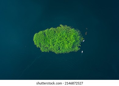 Aerial top down idyllic view of beautiful green island on water surface of large lake. Two white motor boats sail on deep blue water around small oval island. Nature reserve, national park