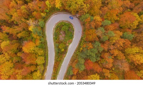 AERIAL, TOP DOWN: Metallic Blue Car Drives Into A Sharp Hairpin Turn Of A Scenic Switchback Road Crossing A Fall Colored Forest. Drone Shot Of A Car Exploring The Woods Changing Colors In Autumn.