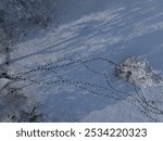 AERIAL TOP DOWN: A tangle of patterns with hoofprints carved into a snowy field. White trees cast long shadows on the untouched snow with a maze of horse tracks on a crisp and sunny winter morning.