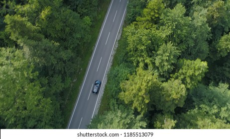 AERIAL, TOP DOWN: Tourists on a relaxing drive through the idyllic dark green forest in the countryside. Car driving down the empty concrete trail running across the vast woods of beautiful Slovenia.