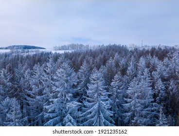Aerial top down view of beautiful winter forest treetops. Spruce frosty trees covered with snow. Top view camera, snowy landscape. Drone aerial flight, Czech Republic, Europe