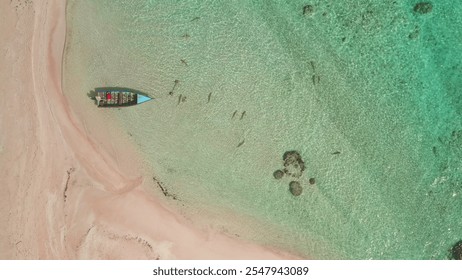 Aerial top down view fishing boat anchored near pink sand beach on tropical island lagoon. Small reef sharks fish swim in clear, turquoise water. Static shot, wild nature summer travel background - Powered by Shutterstock