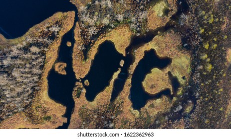 Aerial  Top Down View On The Natural Peatland Lake Pattern