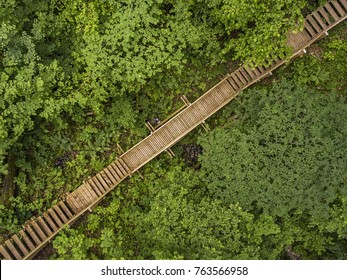 Aerial top down view over narrow path through the thick forest in Gauja river valley, near Turaida Castle in Sigulda, Latvia.