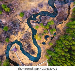 Aerial Top Down View Plain River Psel During Spring Time. Beautiful Valley Of Riverbed With Green Meadows Of Grass And Willow Trees. Beauty Of Summer Nature. River Delta Loop From Above.