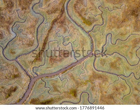 Aerial top down view of tidal marshland with natural meandering drainage system in Verdronken land van Saeftinghe in Zeeland, Netherlands