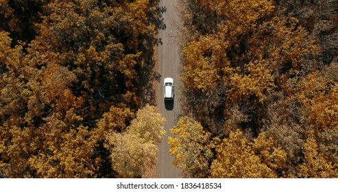 Aerial Top Down View Of White Car Driving On Country Road In Forest In At.