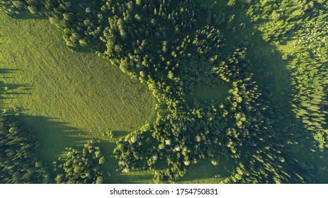 Aerial top: mountain forest, texture of meadow view from above. Drone's Eye - tree green background. high-quality back for design and layout, the concept of summer meadows bordering an array of trees - Powered by Shutterstock