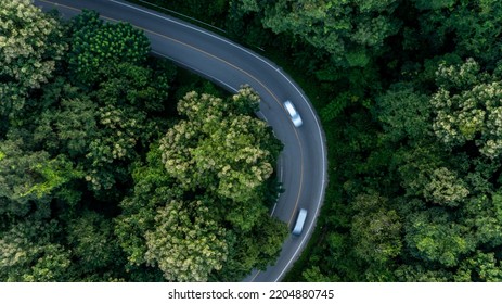 Aerial Top View Asphalt Road In Forest With Car Motion Blur, Winding Road Through The Forest, Car Drive On The Road Between Green Forest.