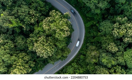 Aerial Top View Asphalt Road In Forest With Car Motion Blur, Winding Road Through The Forest, Car Drive On The Road Between Green Forest.