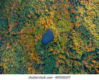 Aerial Top View. Autumn  Landscape. Wild Forest Lake In Russia.