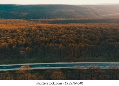 Aerial top view of autumn trees in leafless forest background at sunset. driving along the forest road. From above view road. - Powered by Shutterstock