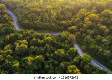 Aerial top view of beautiful road through the green forest, road going through forest from above.