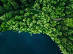 Aerial Top View Of Country Road In Green Summer Forest And Blue Lake. Rural Landscape In Finland. Drone Photography From Above.
