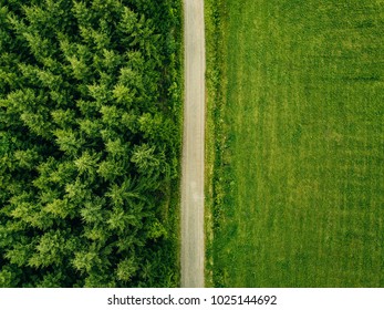 Aerial top view of a country road through a fir forest and a green field in summer in rural Finland