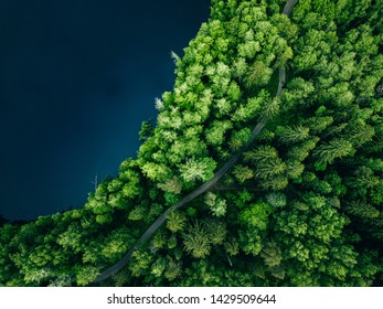 Aerial Top View Of Country Road In Green Summer Forest And Blue Lake. Rural Landscape In Finland. Drone Photography From Above.