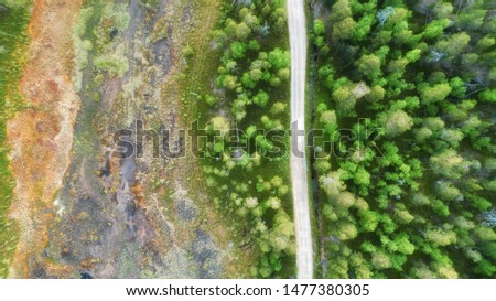Aerial top view of a country road through a  forest and a swamp in summer in rural Finland