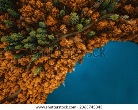 Aerial top view of country road in autumn fall forest and blue lake. Rural landscape in Finland.