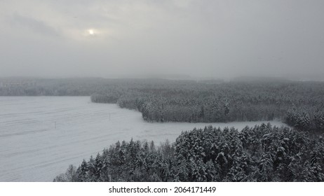 Aerial top view from drone of forest in winter. Bird’s eye view of forest. 