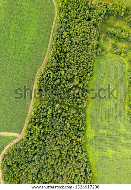 Aerial top view drone photography of a land\
with sown green fields in\
countryside