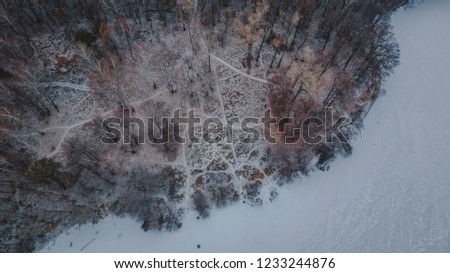 Aerial top view of first snow trees and lake