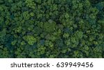Aerial top view forest tree, Rainforest ecosystem and healthy environment concept and background, Texture of green tree forest view from above.