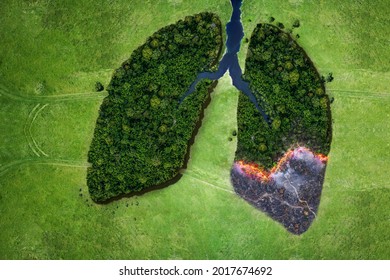 Aerial top view forest tree of ecological disaster of fires. Lungs from forest trees and fire concept. Ecology and environment creative idea. Breath of planet earth