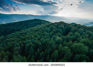 Aerial top view forest tree, Rainforest ecosystem and healthy environment concept and background, Texture of green tree forest view from above - Powered by Shutterstock