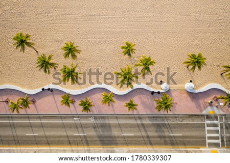 Aerial top view of Fort Lauderdale Beach sidewalk with palm trees, Florida