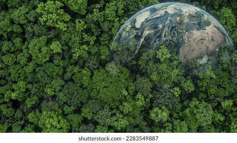 Aerial top view green forest with globe earth, Green planet in your hands, Save Earth, Texture of forest view from above ecosystem and healthy environment, Globe and forest. - Shutterstock ID 2283549887