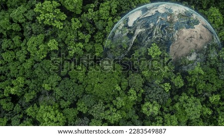 Aerial top view green forest with globe earth, Green planet in your hands, Save Earth, Texture of forest view from above ecosystem and healthy environment, Globe and forest.