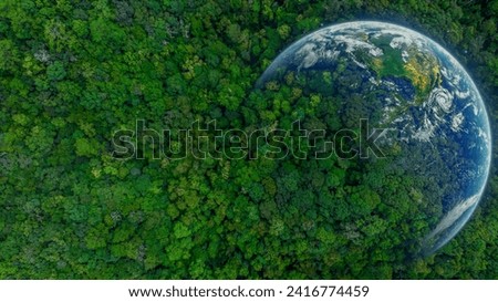 Aerial top view of green forest tree and global globe, Tropical rain forest tree ecosystem and healthy environment, Texture and background of green tree forest, Global warming save earth.