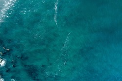 Aerial view of floating speed boat featuring boat, motorboat, and yacht ...